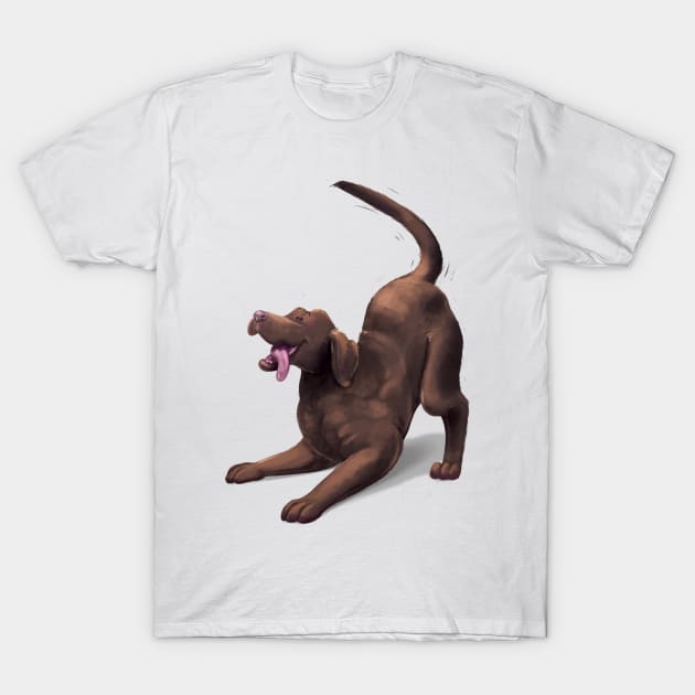 Chocolate Lab - Play Pose T-Shirt by Rowena Aitken